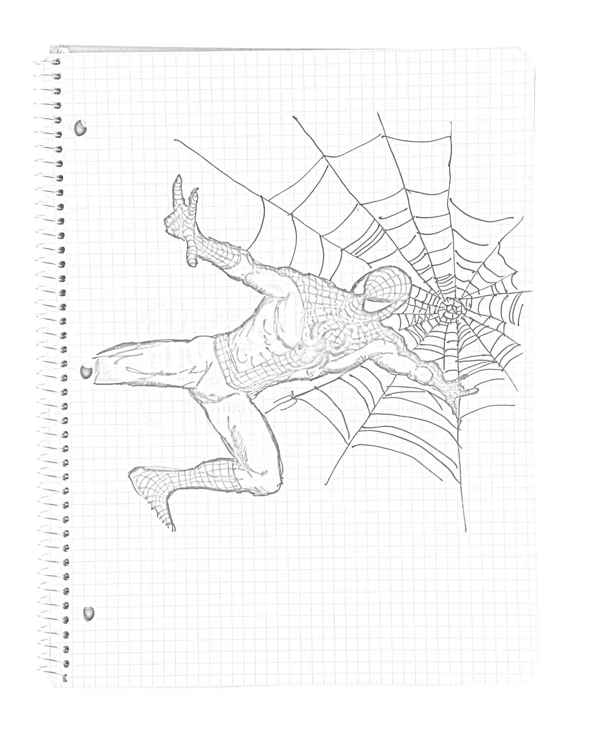 Раскраска Человек-паук на сетчатом фоне блокнота, паутина