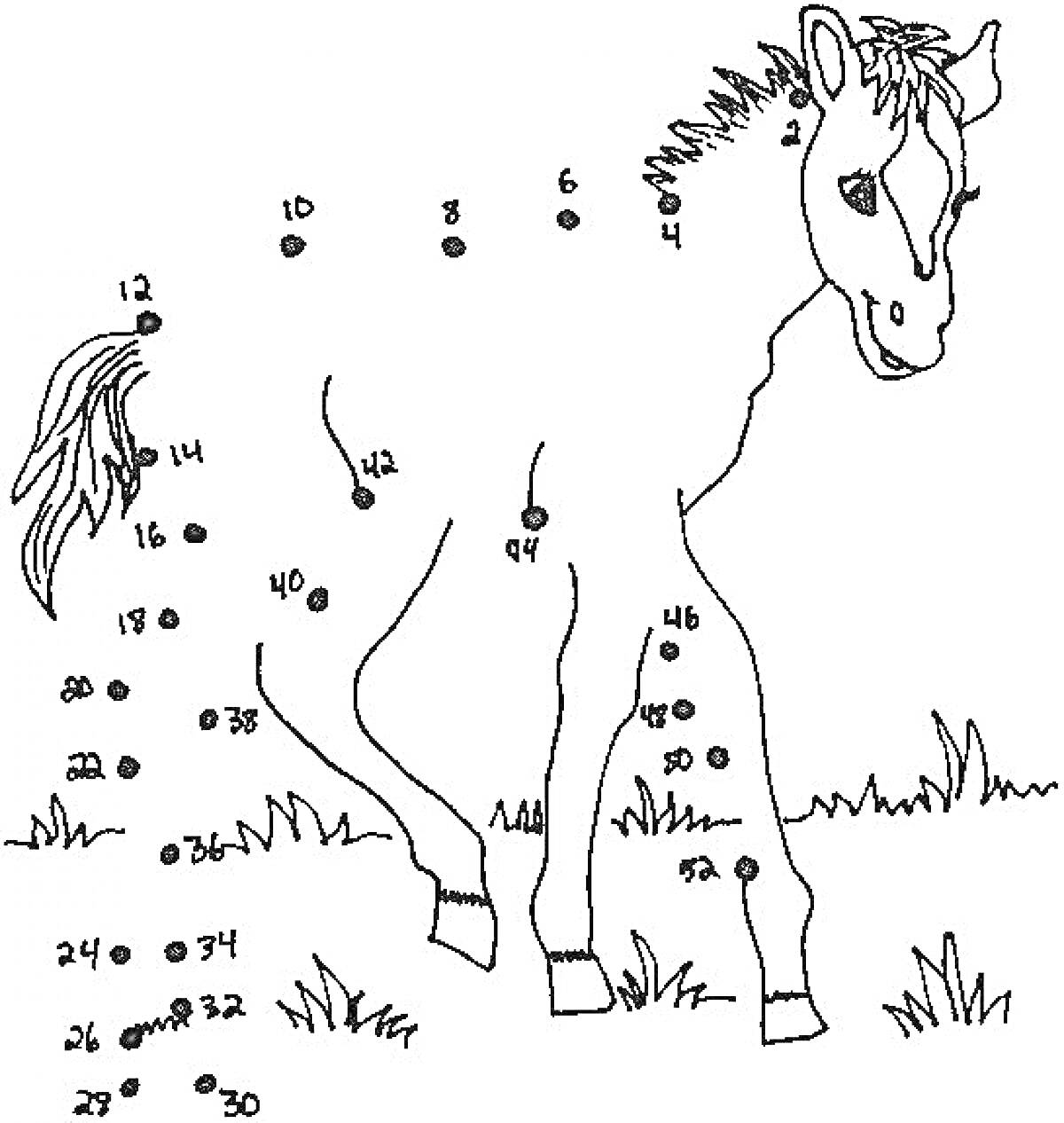 На раскраске изображено: По точкам, Пони, Трава, Животное, Соедини точки, Головоломка