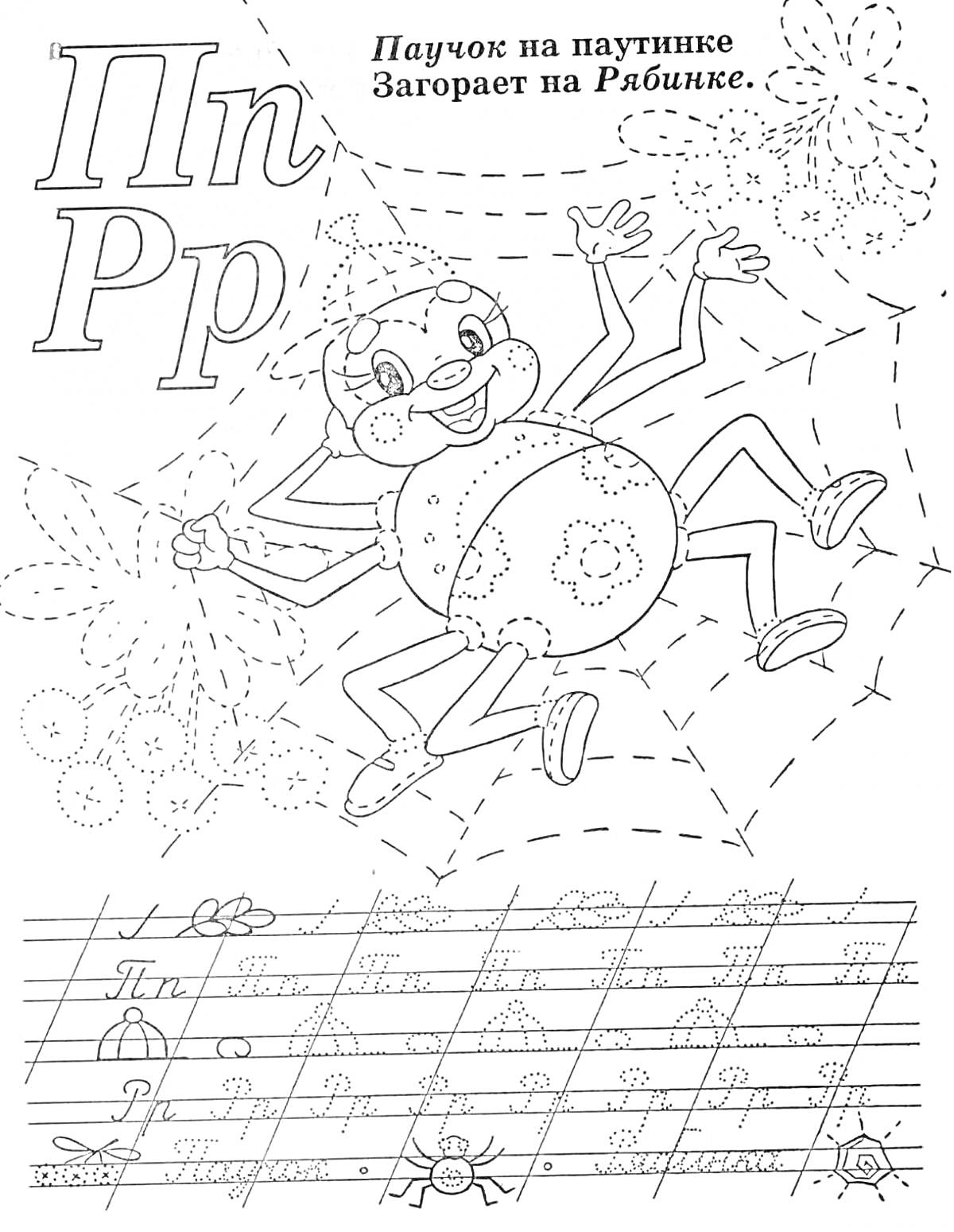 Раскраска Буквы Пп и Рр, паучок на паутинке, прописи букв П и Р.