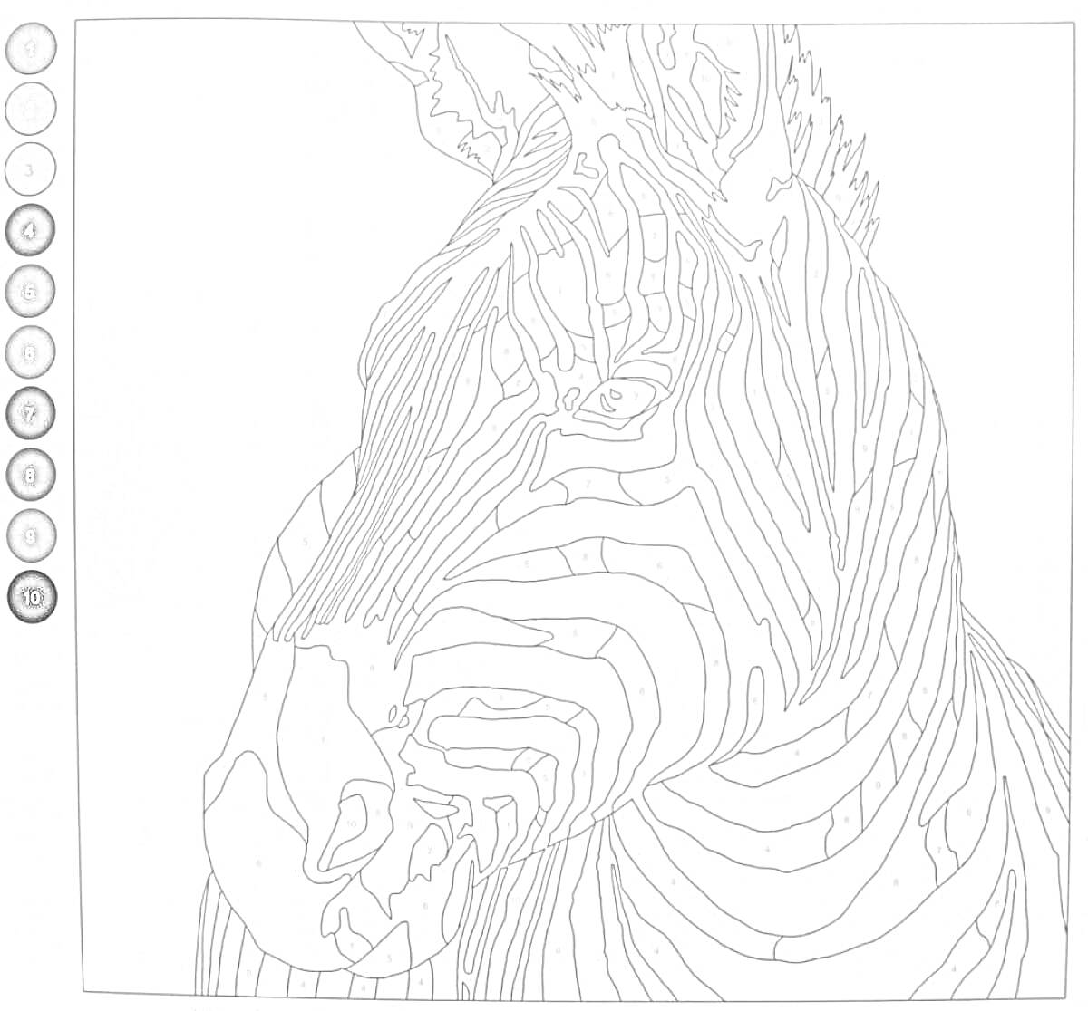 Раскраска Зебра арт по номерам: зебра, шкала оттенков серого и черного с номерами