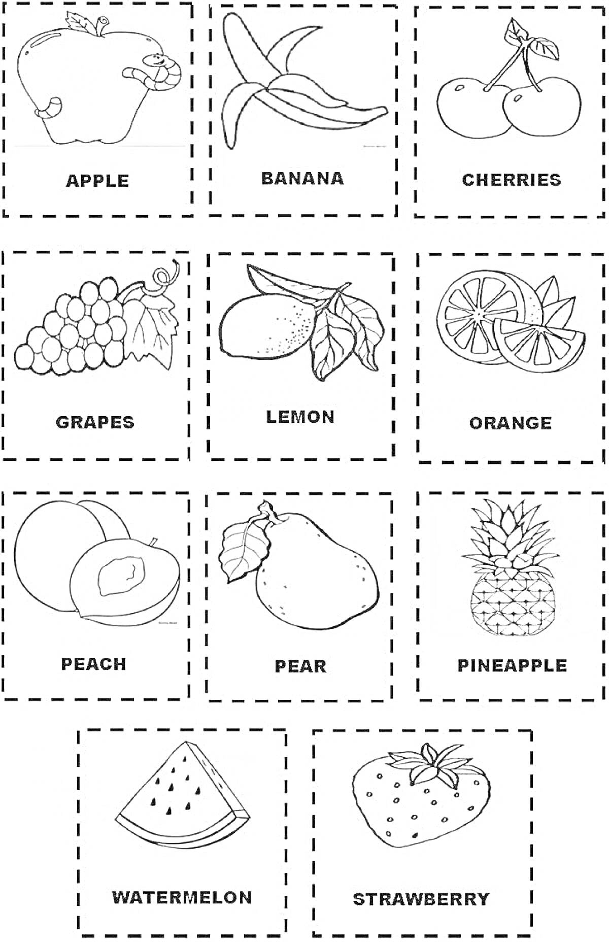 Раскраска Раскраска для детей: фрукты на английском