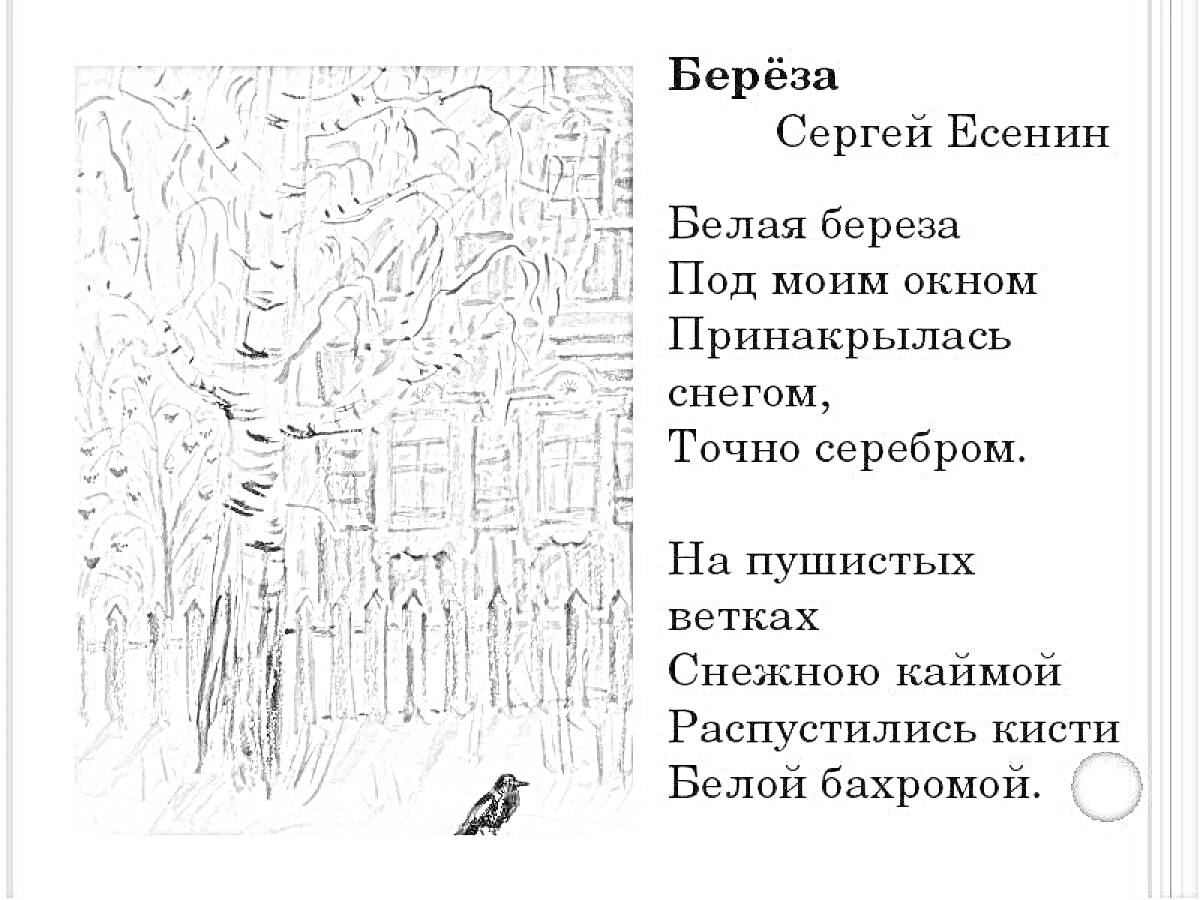 На раскраске изображено: Белая береза, Снег, Стихотворение, Зима, Природа, Птица, Кисти, Серебро