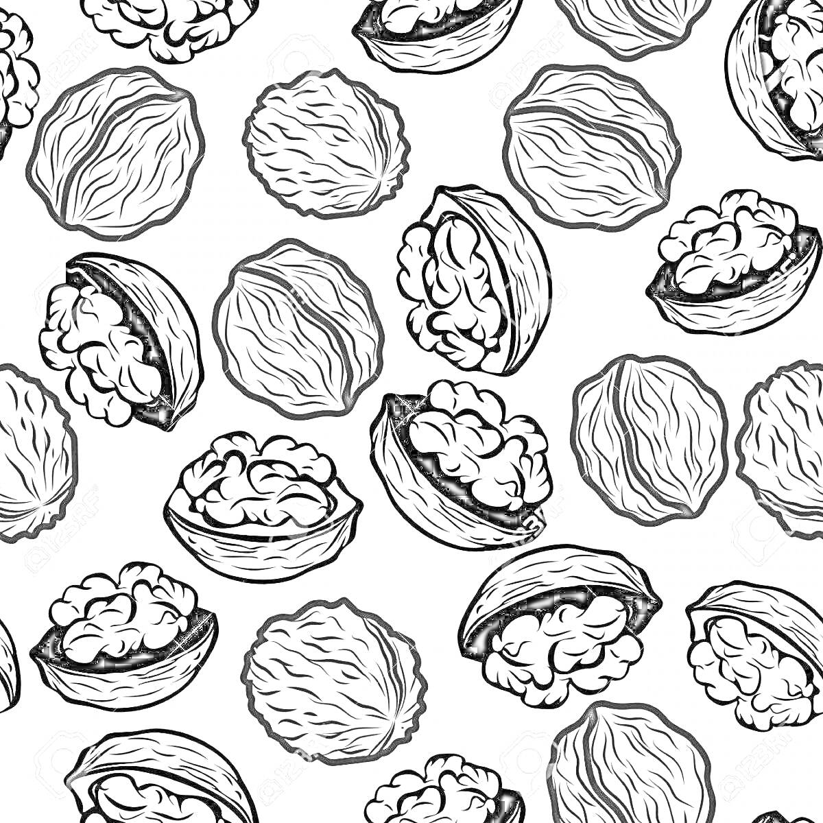 Раскраска Грецкие орехи в скорлупе и внутренности