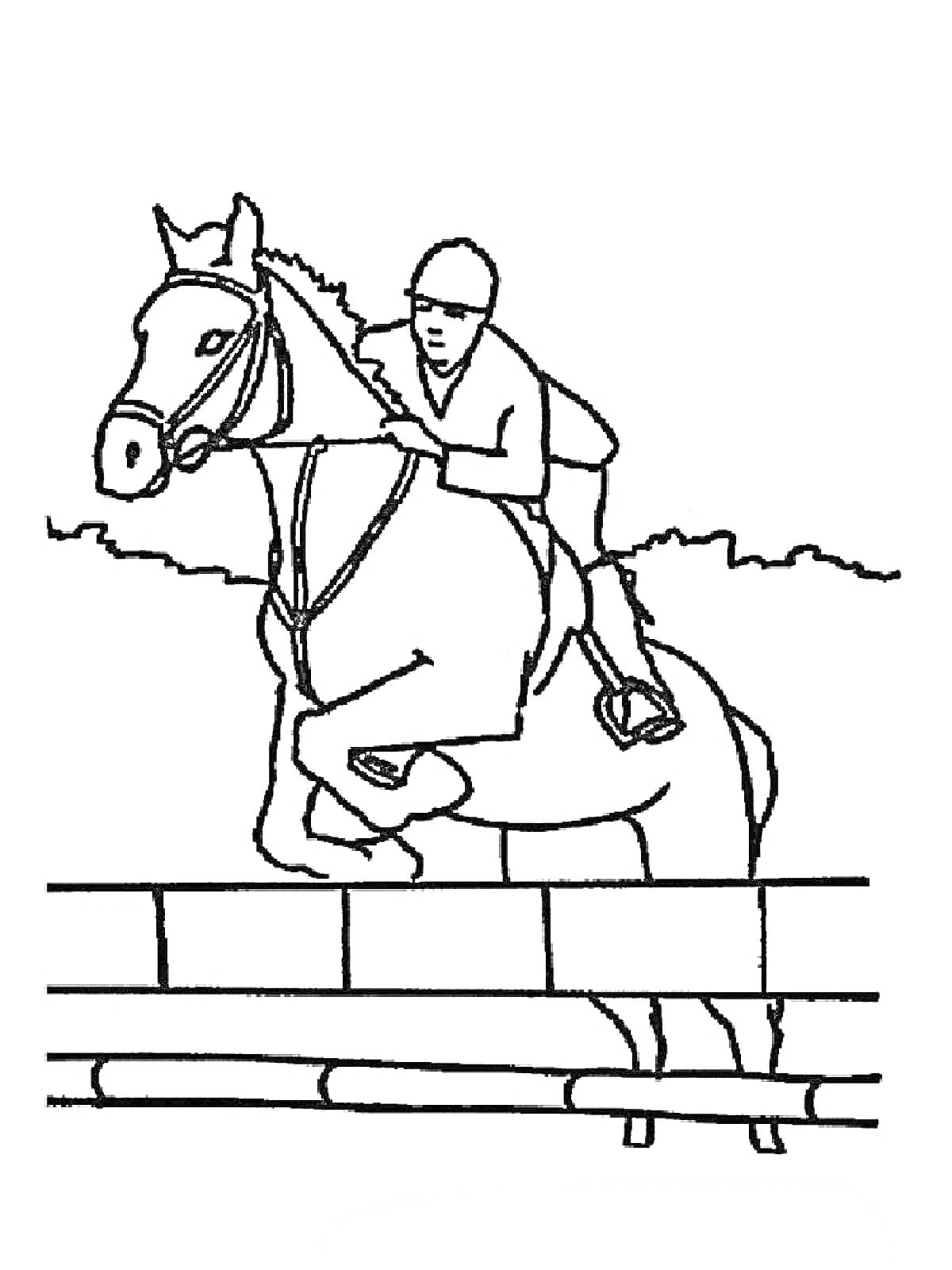 На раскраске изображено: Всадник, Лошадь, Соревнования, Верховая езда, Спорт, Природа, Прыжки