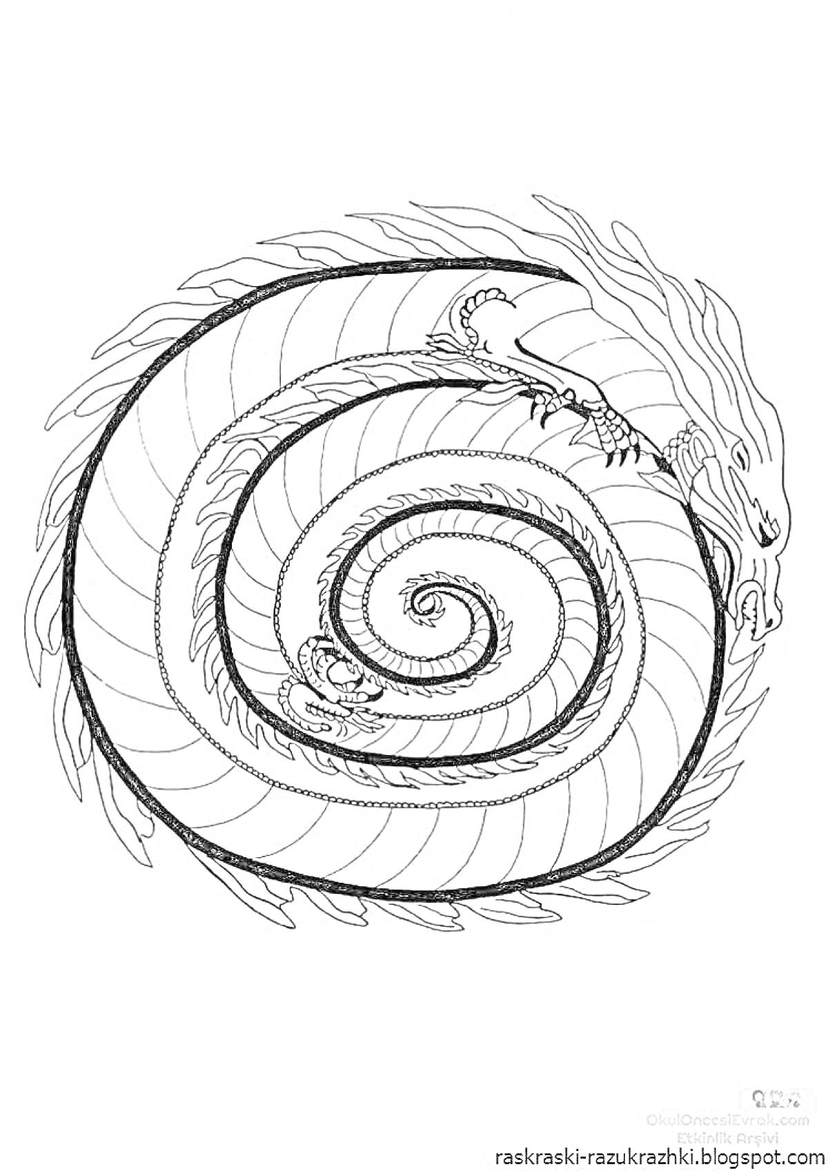 Раскраска Дракон в форме спирали