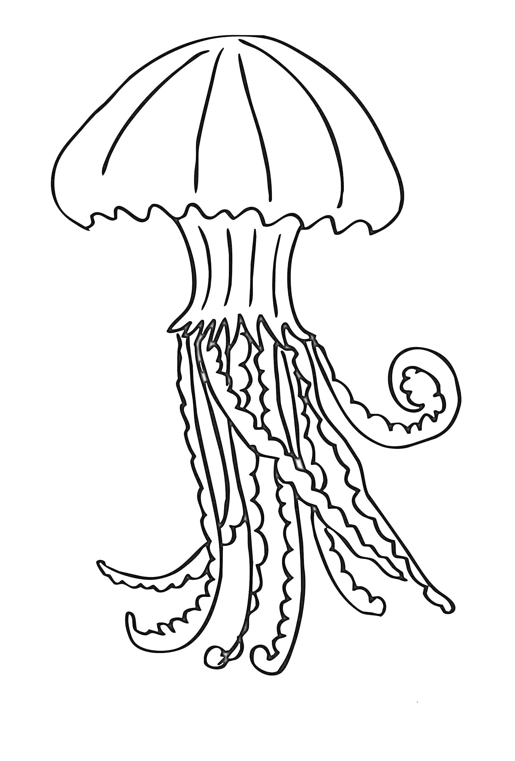 Раскраска Медуза с ушком и множеством щупалец