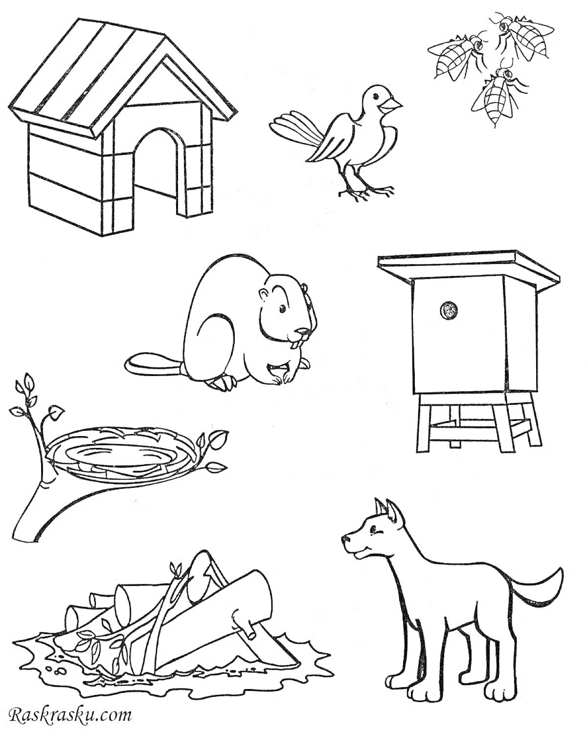 На раскраске изображено: Собака, Будка, Гнездо, Бобр, Дрова, Листья, Птица