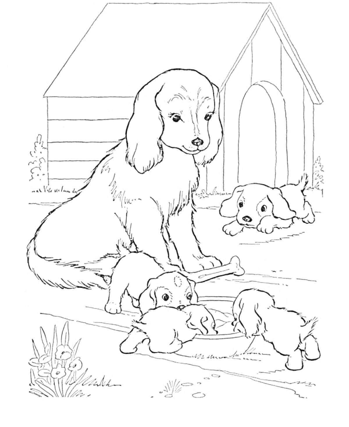 Раскраска Большая собака с щенками у будки и цветочного кустика