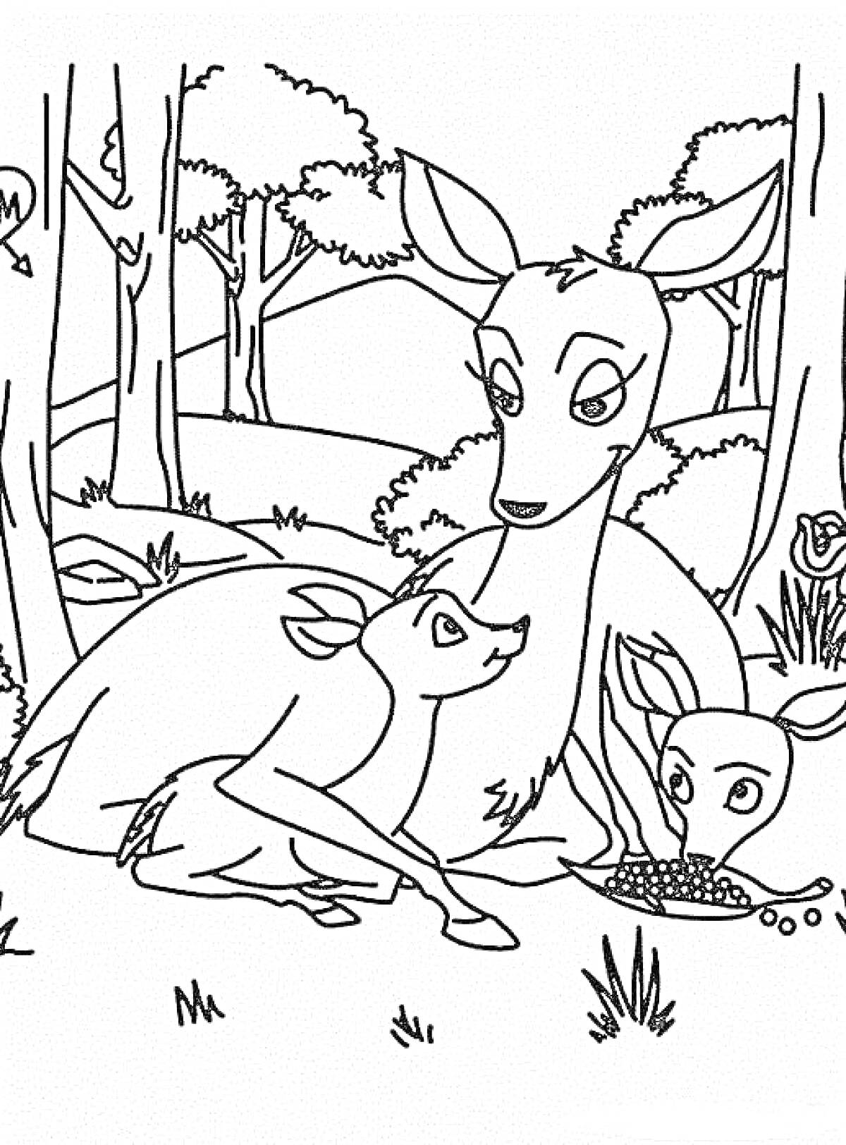 Раскраска Олениха с двумя оленятами в лесу