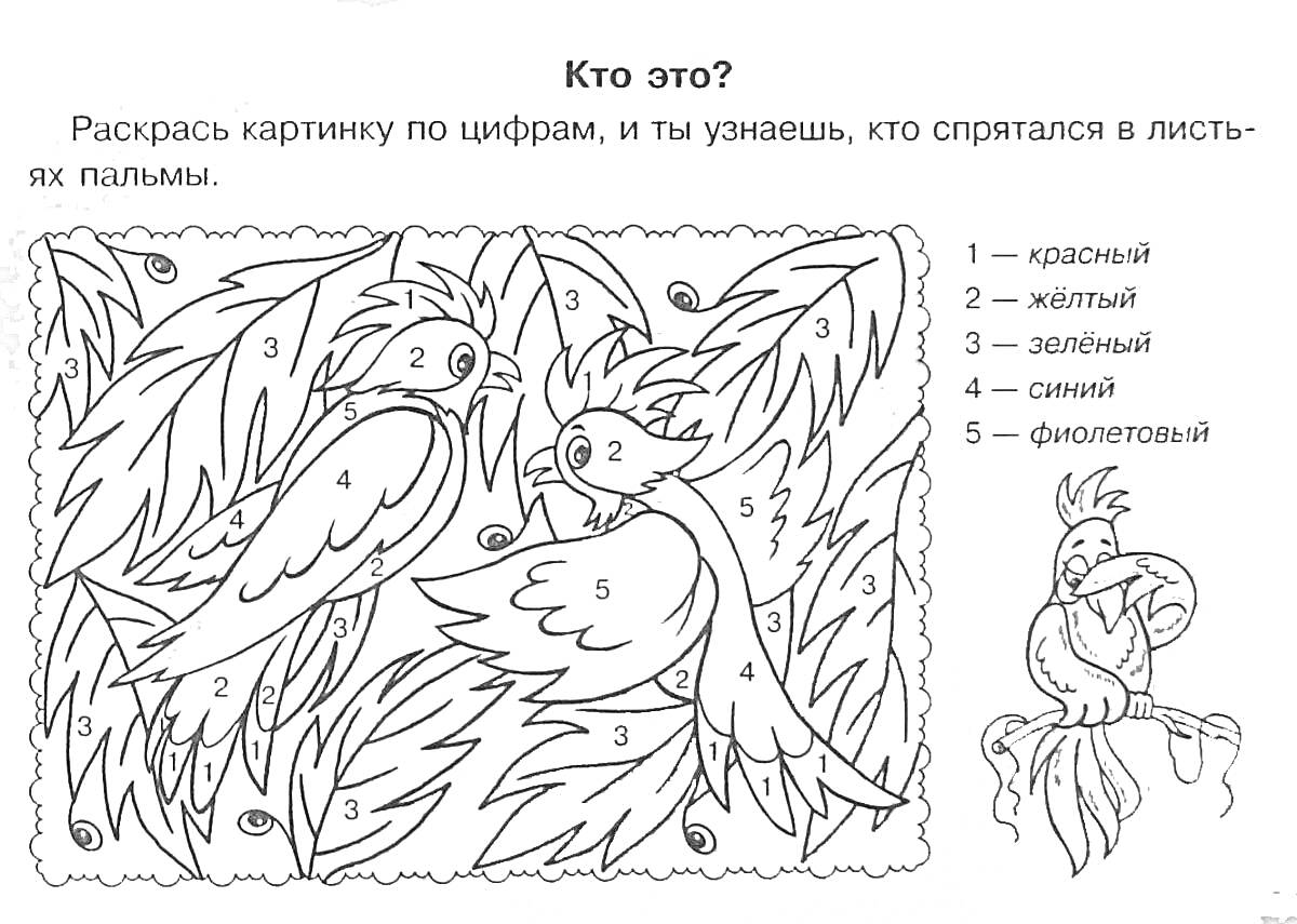 На раскраске изображено: Попугаи, Пальмовые листья, Цифры, Для детей 5-6 лет, Желтый, Зеленый