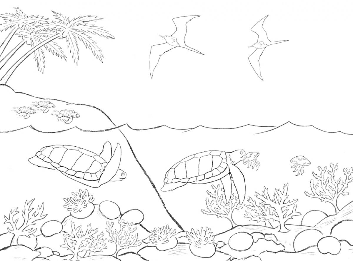 Раскраска Морская жизнь: пляж с пальмами, две черепахи под водой, рыба, камни, кораллы, медуза, птицы в небе