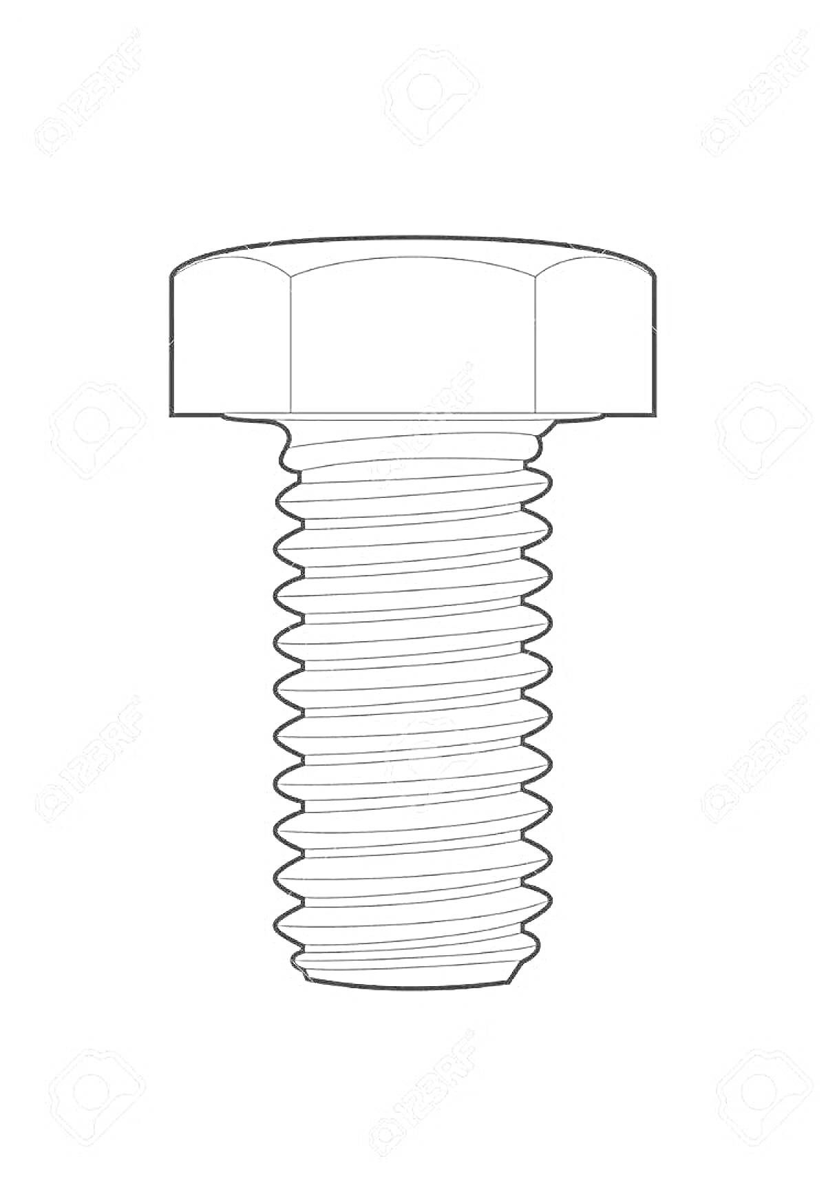 Раскраска Шуруп с шестигранной головкой и резьбой