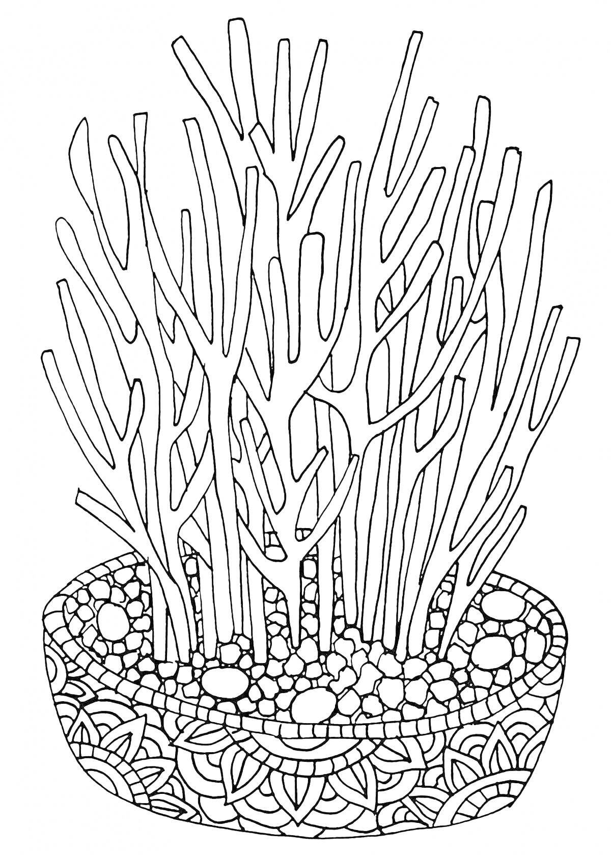 На раскраске изображено: Суккуленты, Растения, Галька, Декоративные элементы, Ботаника, Узоры, Контурное рисование