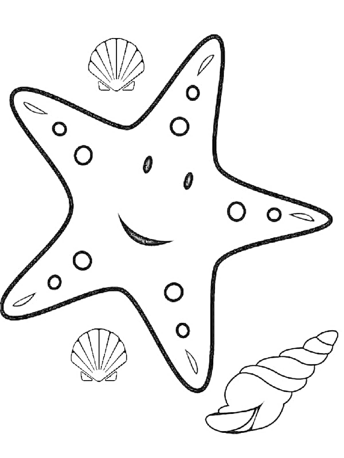 На раскраске изображено: Морская звезда, Морская тема, Морское дно, Для детей, Ракушка