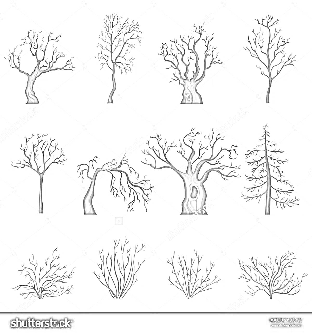 Раскраска с различными типами деревьев с ветвями без листвы, всего 12 деревьев