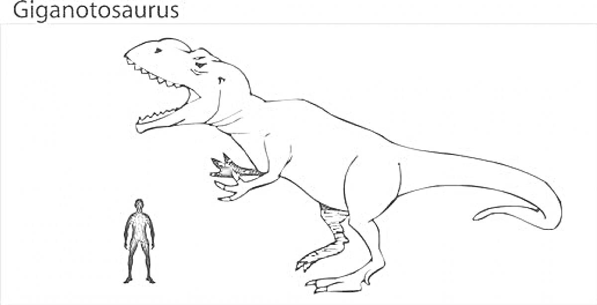 На раскраске изображено: Гигантозавр, Динозавр, Человек, Палеонтология, Древние животные