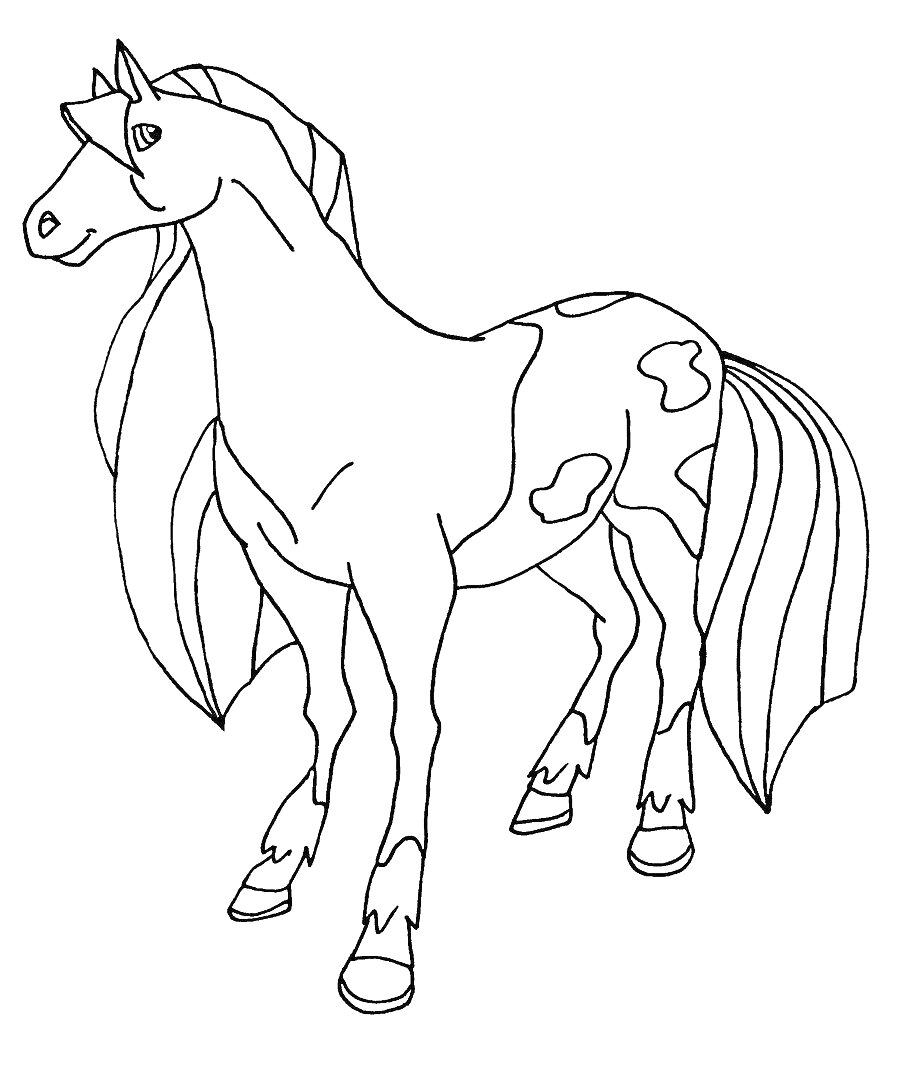 Лошадка с пятнистой шкурой, длинной гривой и хвостом