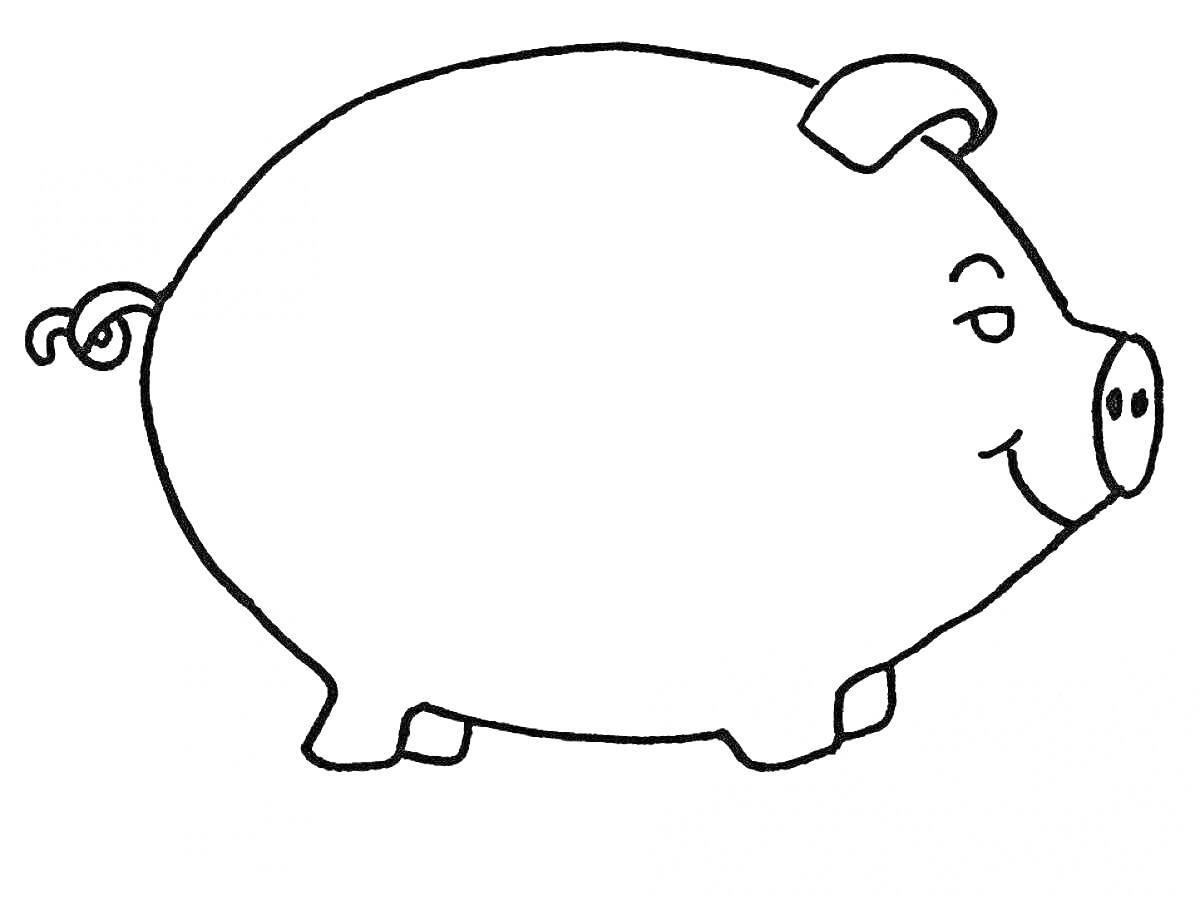 Свинья с завитком на хвосте, стоящая на четырех ногах с ухом и пятачком