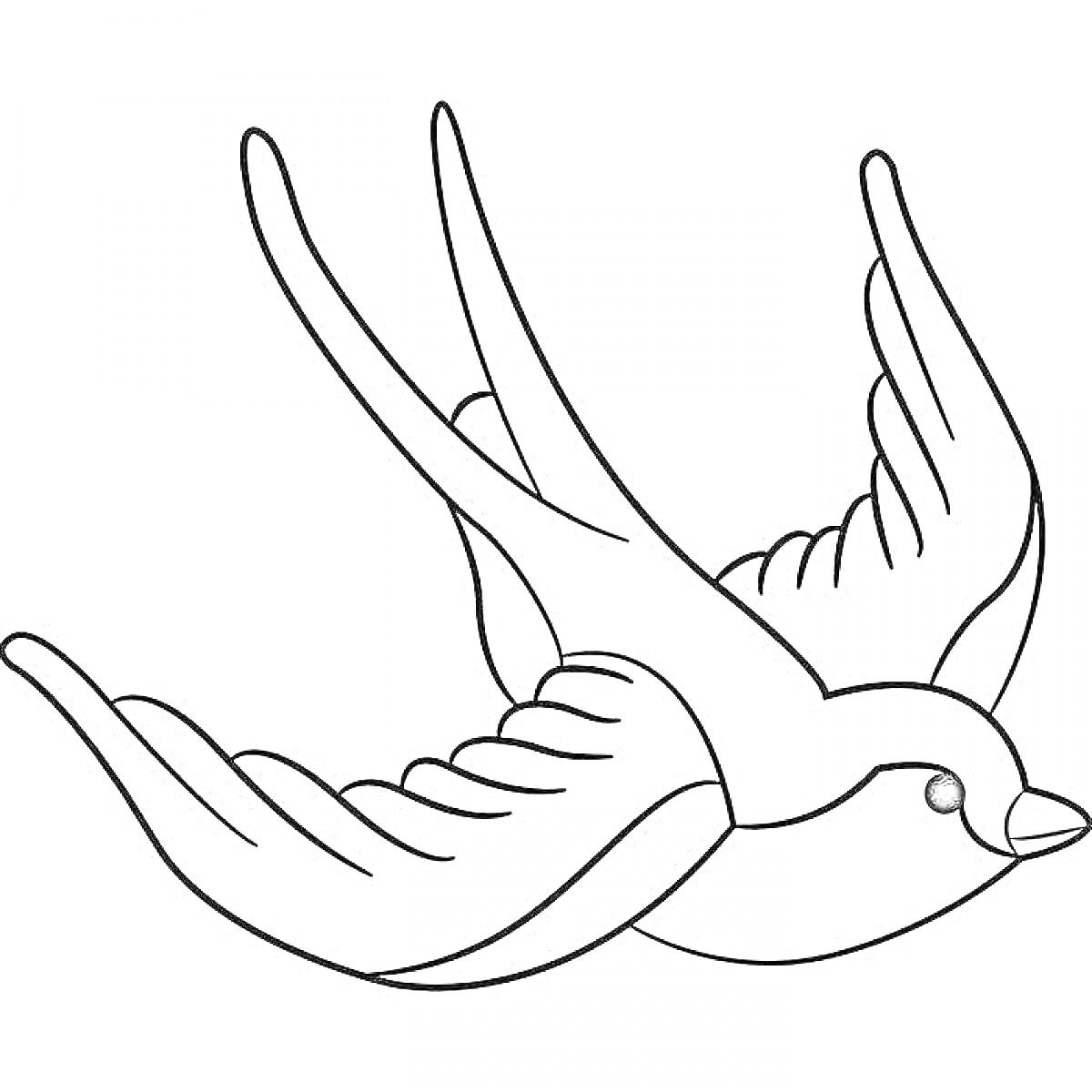 На раскраске изображено: Ласточка, Птица, Полет, Природа, Крылья