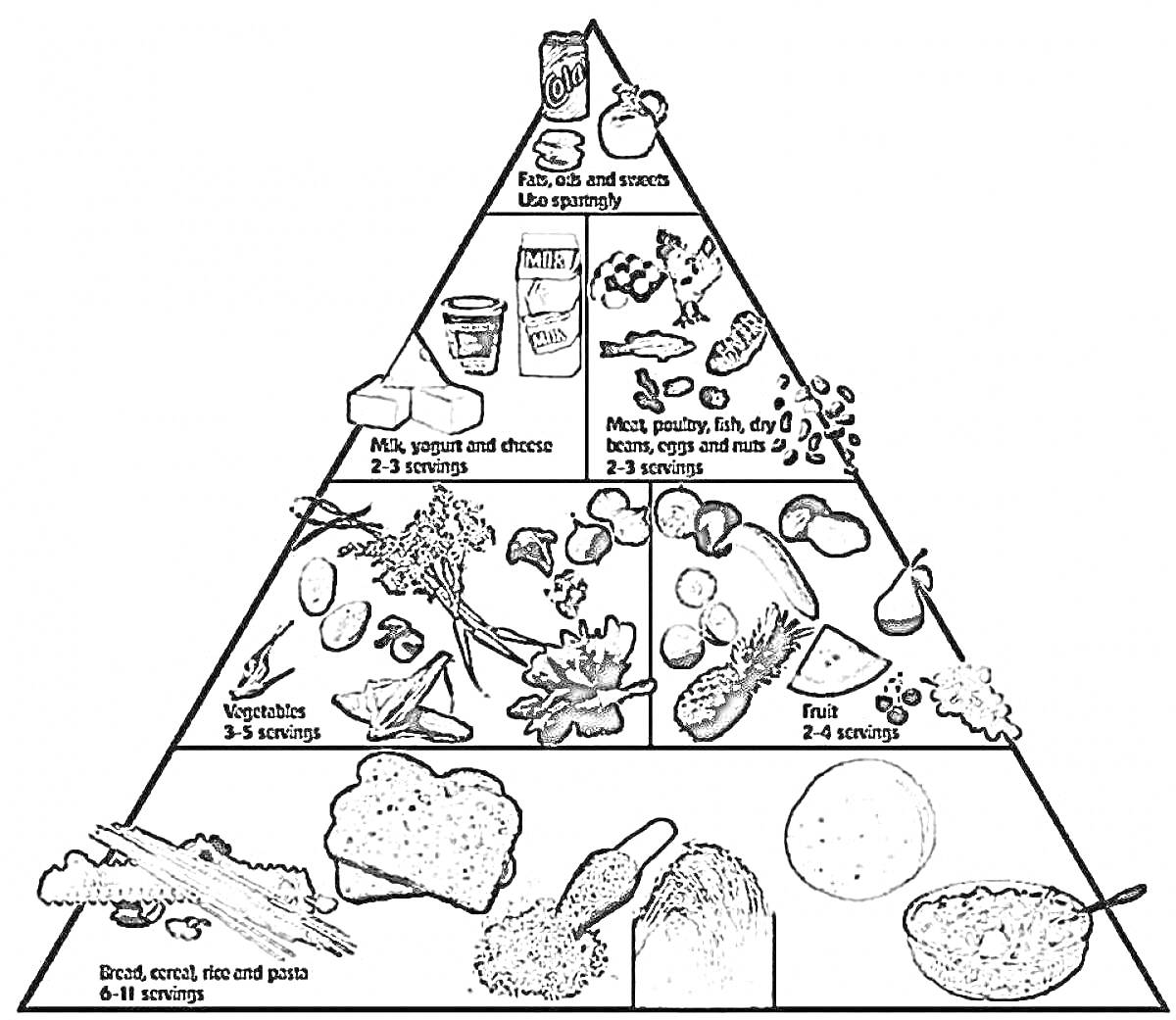 На раскраске изображено: Хлеб, Рис, Паста, Овощи, Фрукты, Молоко, Йогурт, Сыр, Мясо, Птица, Рыба, Яйца, Сладости