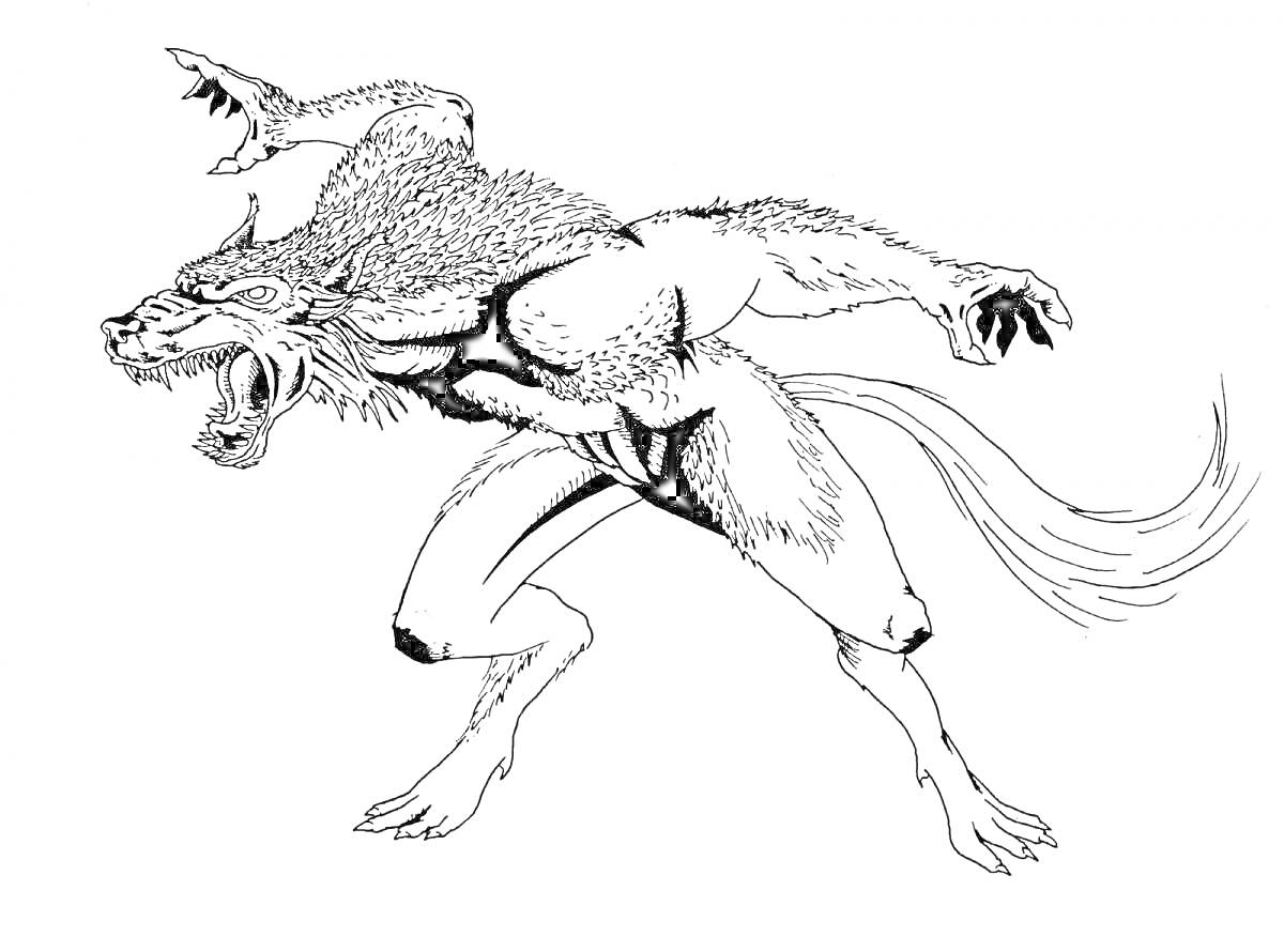 Раскраска Разъярённый волк в атакующей позе