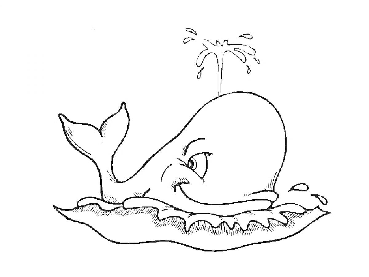 Раскраска Кит, лежащий на поверхности воды, с фонтаном воды из дыхала и падающими каплями