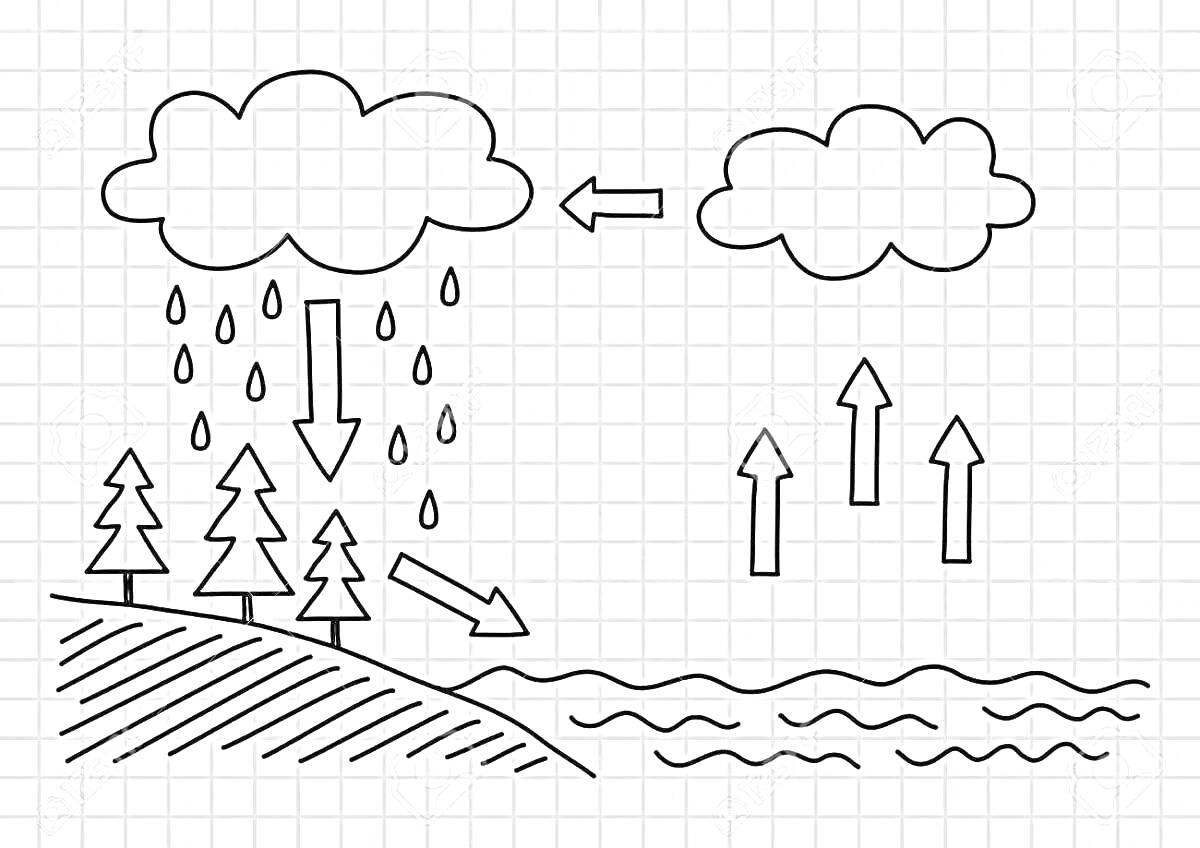 Раскраска Круговорот воды в природе с облаками, дождём, деревьями, рекой и испарением