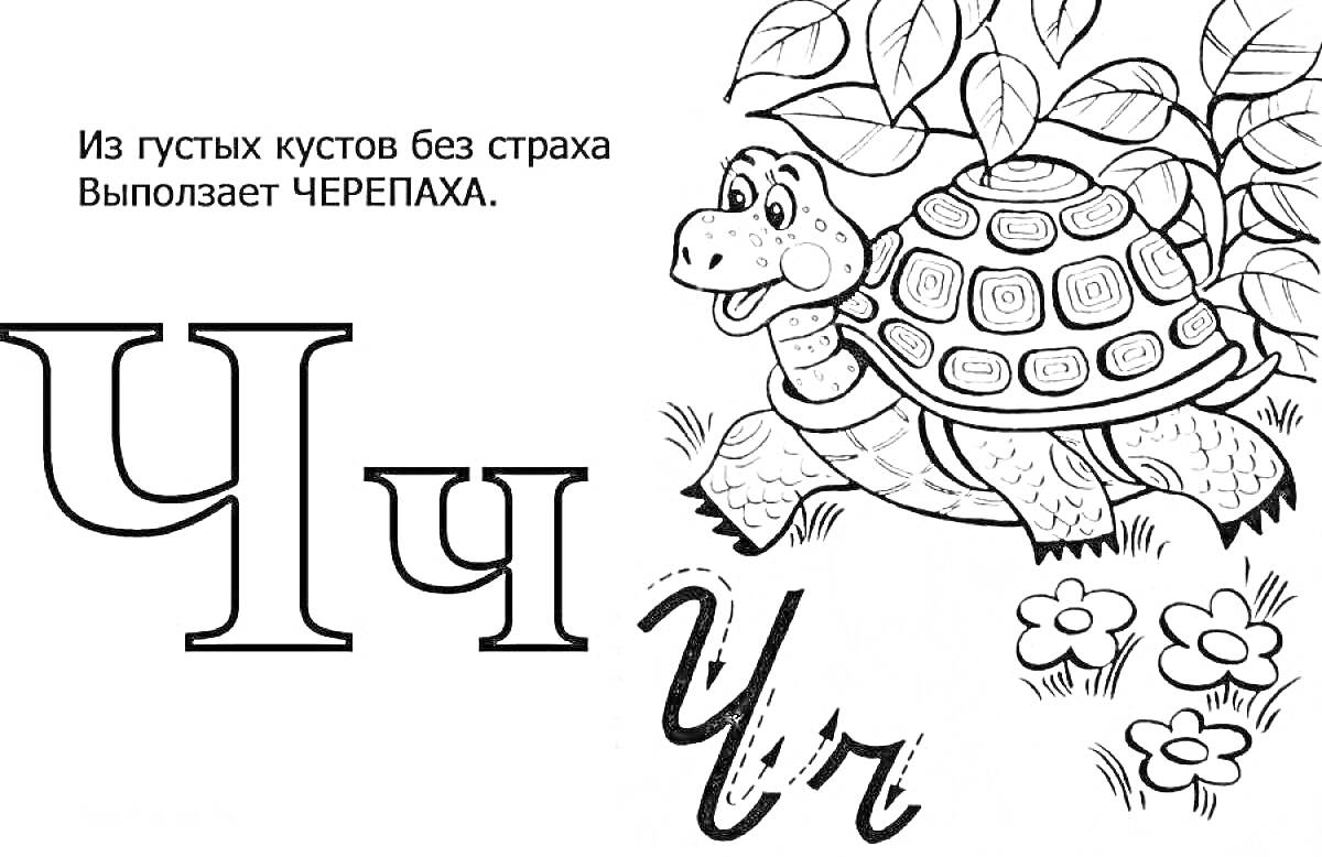 Раскраска Буква Ч - черепаха среди кустов и цветов