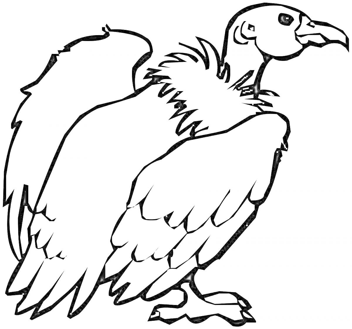 На раскраске изображено: Гриф, Птица, Природа, Перья, Клюв, Когти