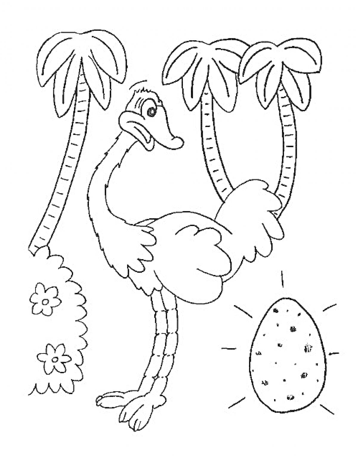 На раскраске изображено: Страус, Пальмы, Цветы, Яйца, Контурные рисунки