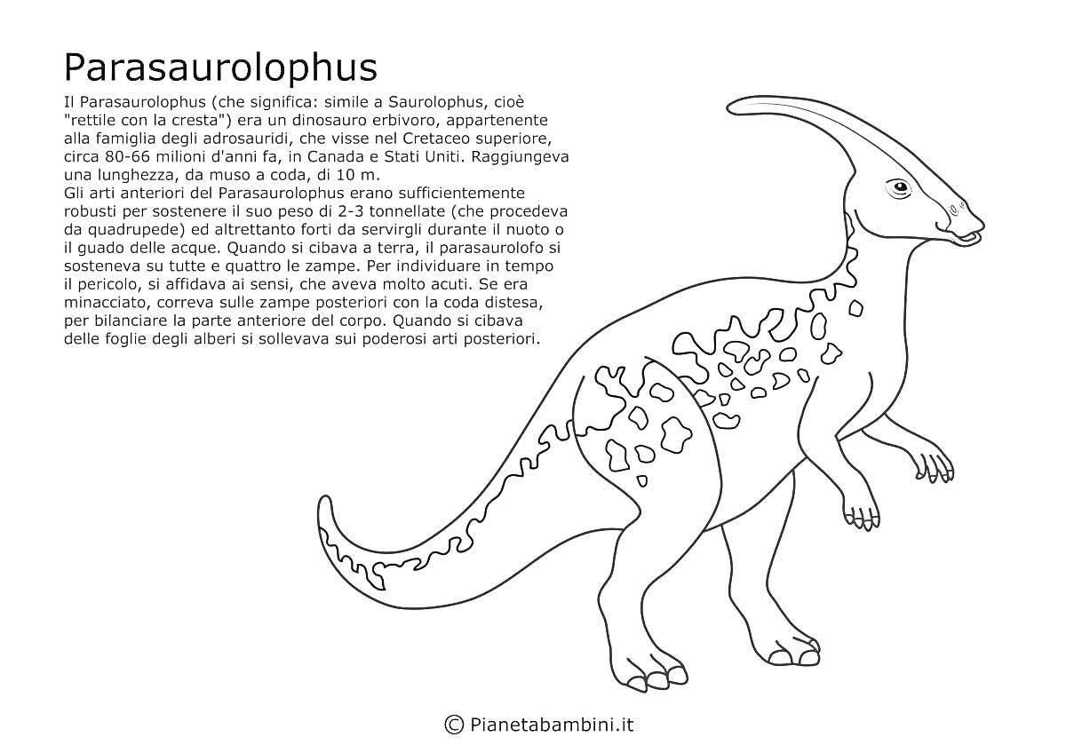 Раскраска Паразауролоф (иллюстрация динозавра с гребнем на голове и пятнистыми узорами на теле)