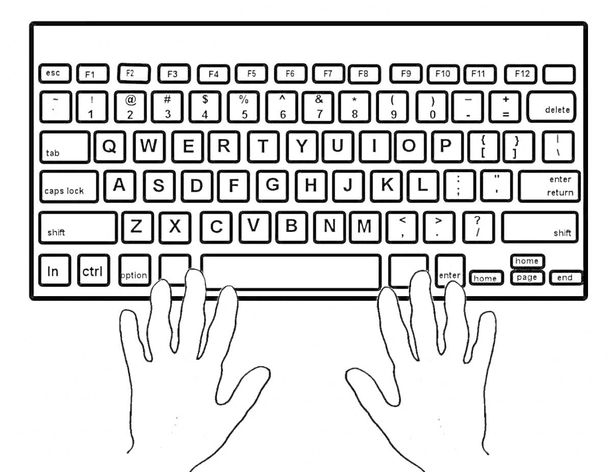 Раскраска Раскраска: компьютерная клавиатура с руками в позиции набора, клавиши с буквами, цифрами и функциями