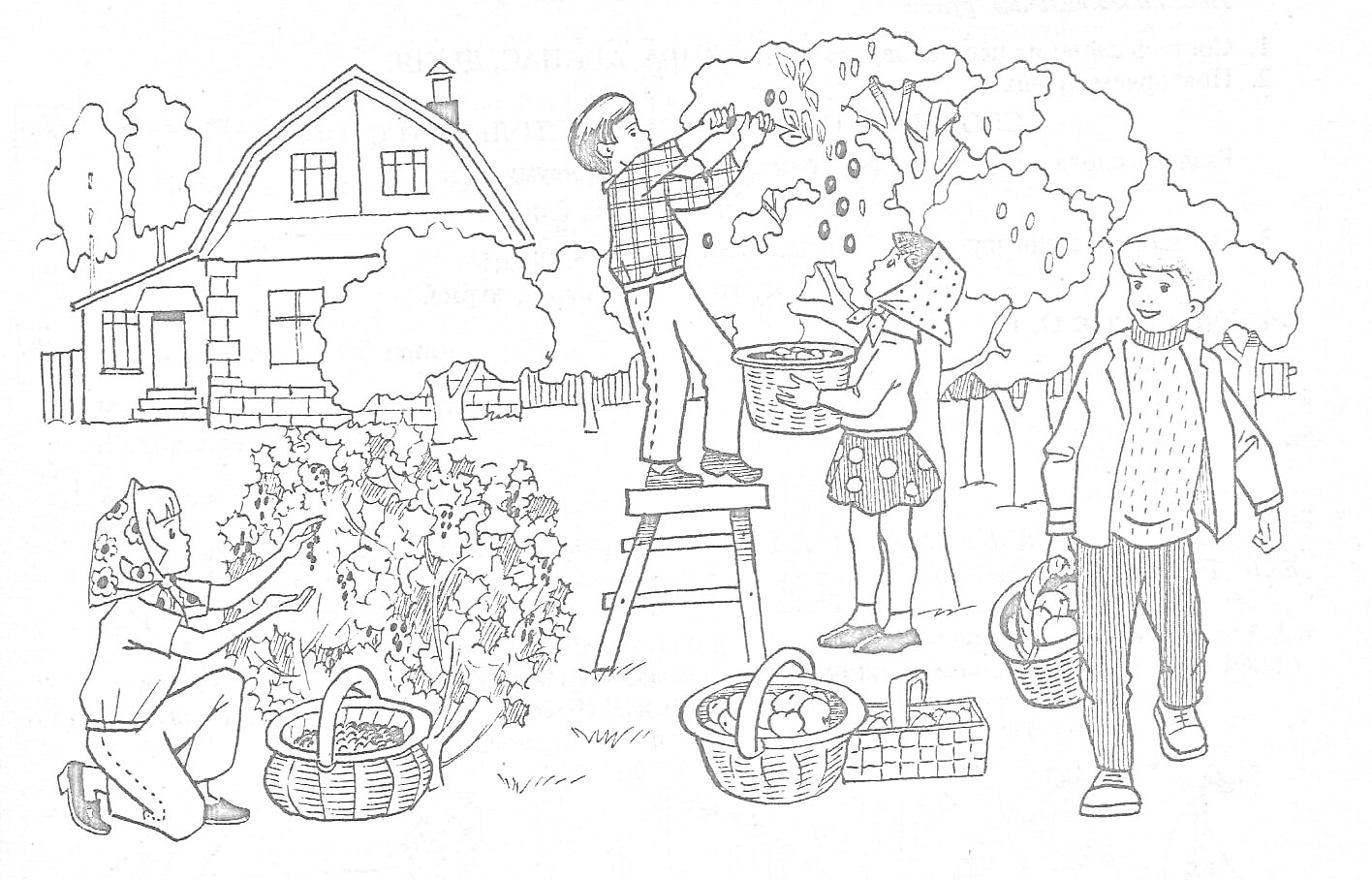 На раскраске изображено: Урожай, Сад, Дом, Плоды, Кусты, Сбор урожая
