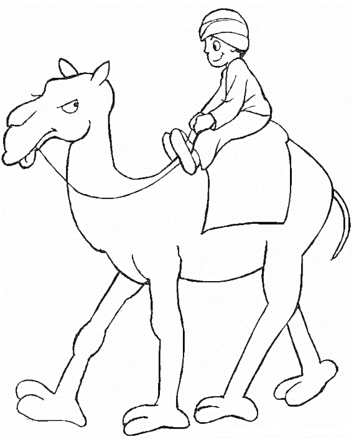 На раскраске изображено: Верблюд, Всадник, Животные, Путешествия