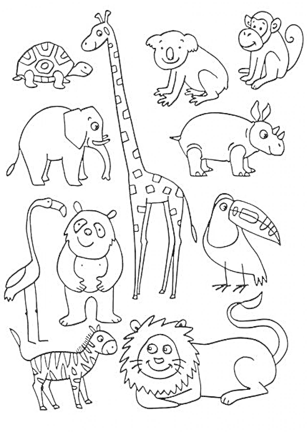 Раскраска Зоопарк с животными: черепаха, жираф, коала, обезьяна, носорог, фламинго, панда, тукан, зебра, лев и слон