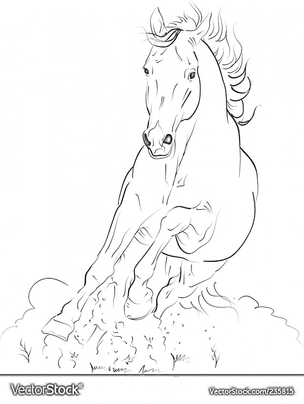 На раскраске изображено: Лошадь, Грива, Природа, Пыль, Скачки
