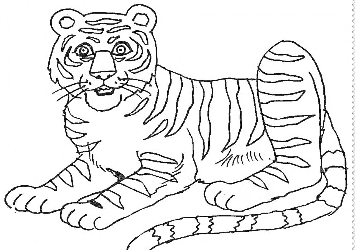 Раскраска Тигр сидит с поднятой передней лапой, длинный полосатый хвост