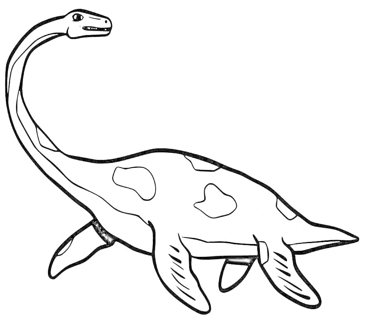Раскраска Эласмозавр с длинной шеей и плавниками на белом фоне