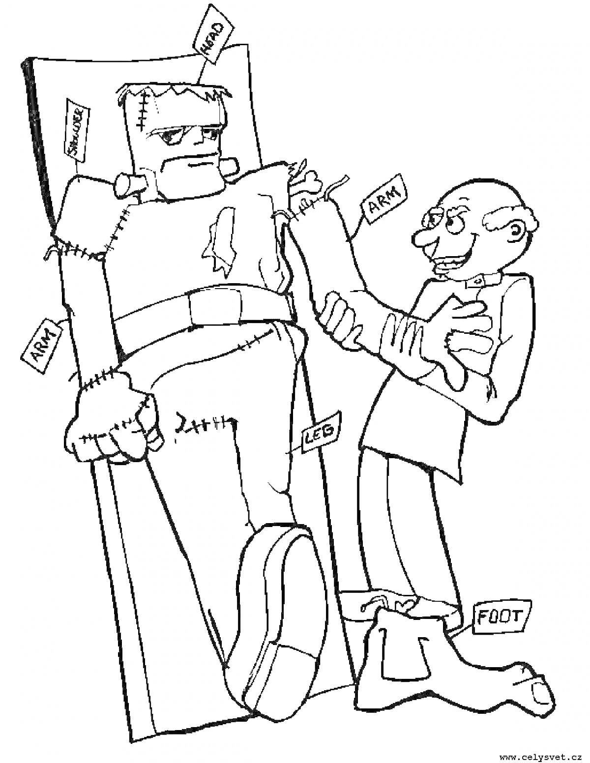 Раскраска Франкенштейн и учёный, отмечающие части тела (рука, нога)