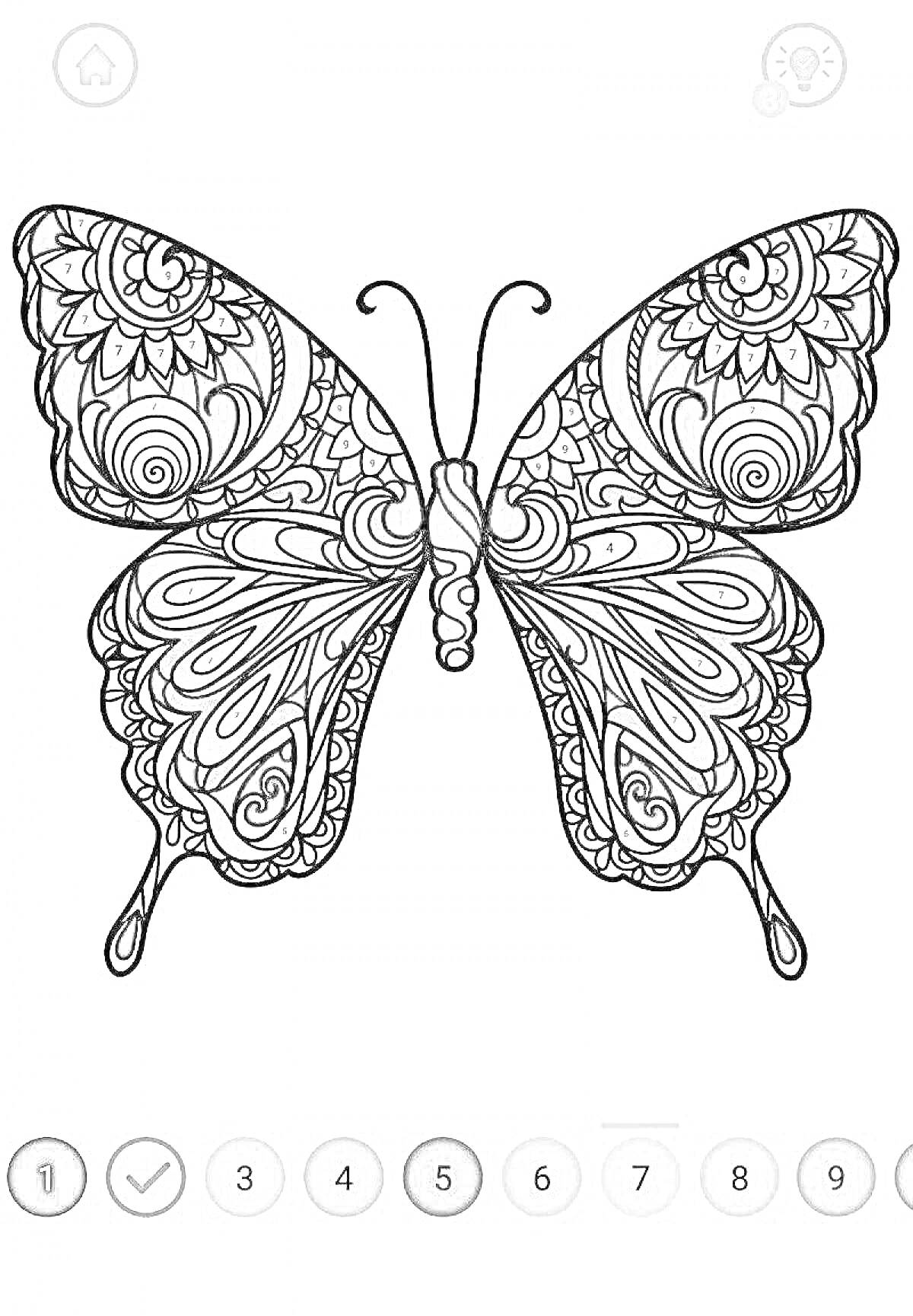 Раскраска мандала в форме бабочки с узорами