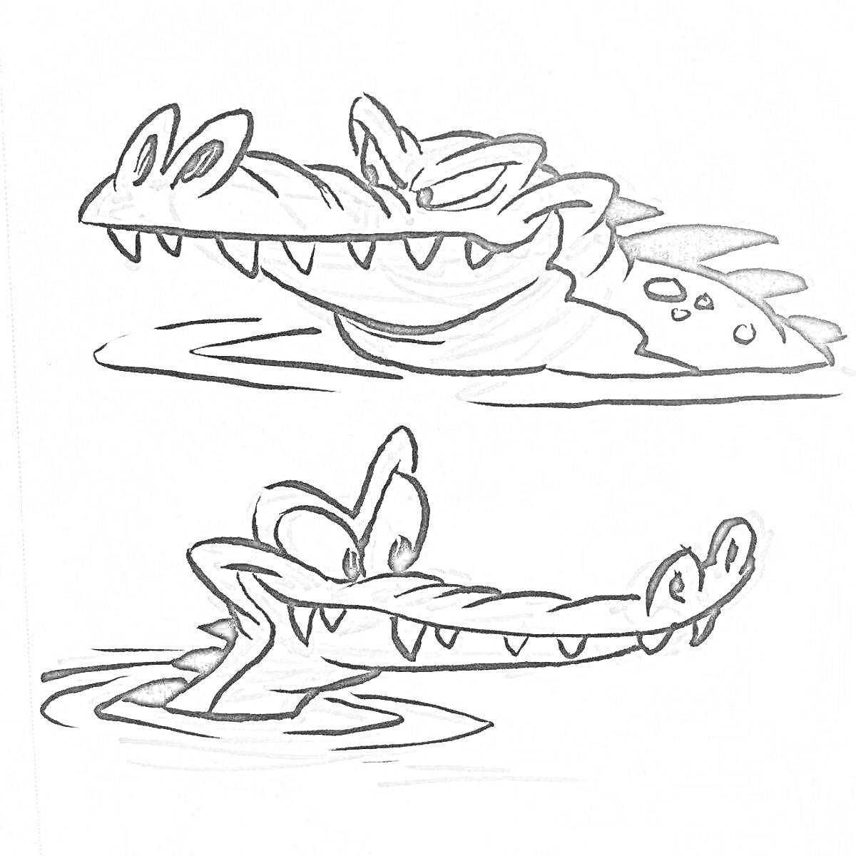 Раскраска Два крокодила, выглядывающие из воды