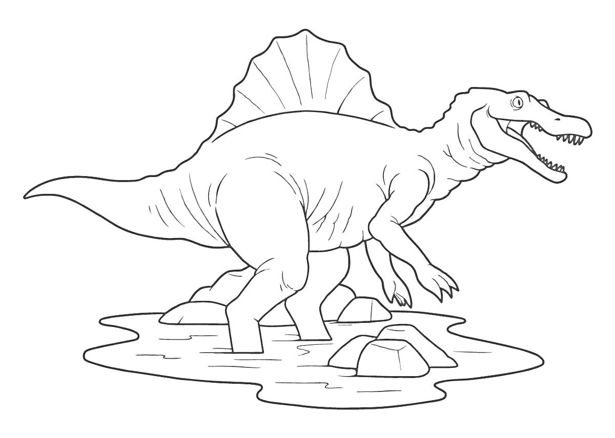 На раскраске изображено: Спинозавр, Динозавр, Древние животные, Вода, Камни