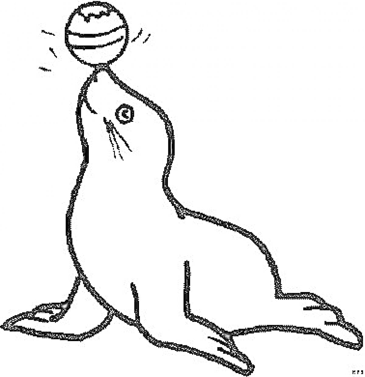 Раскраска Морской лев с мячом на носу