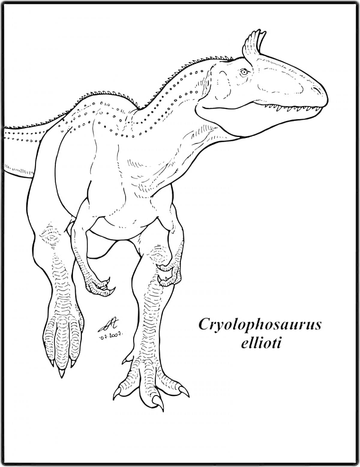 Cryolophosaurus ellioti, контурное изображение динозавра