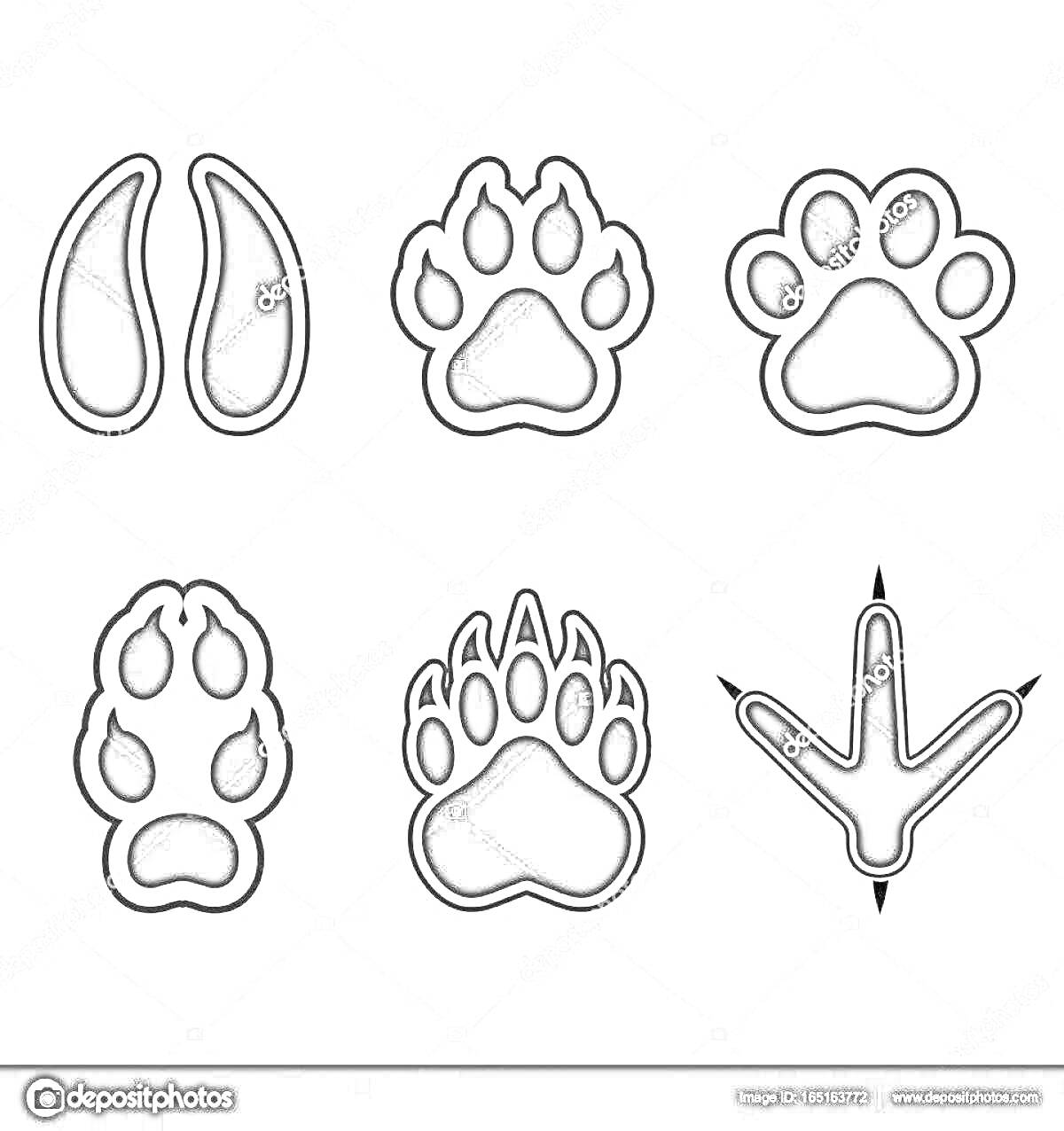 Раскраска Отпечатки лап различных животных (копыта, лапы с когтями, птичьи лапы)