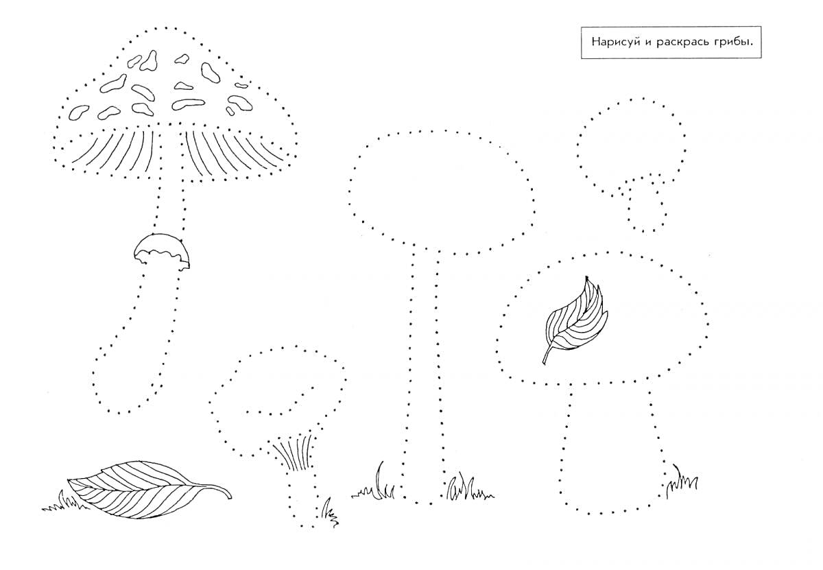 На раскраске изображено: Грибы, Листья, Для детей, Простая