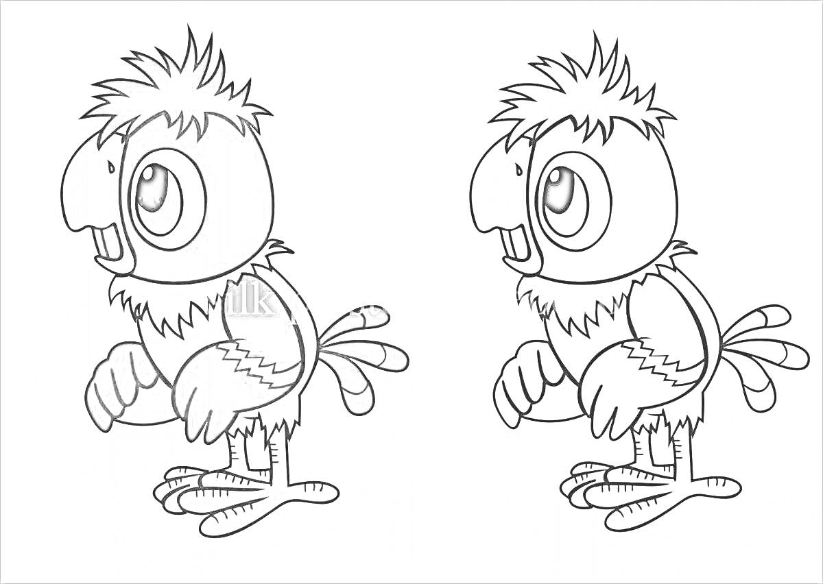 На раскраске изображено: Попугаи, Контурные рисунки