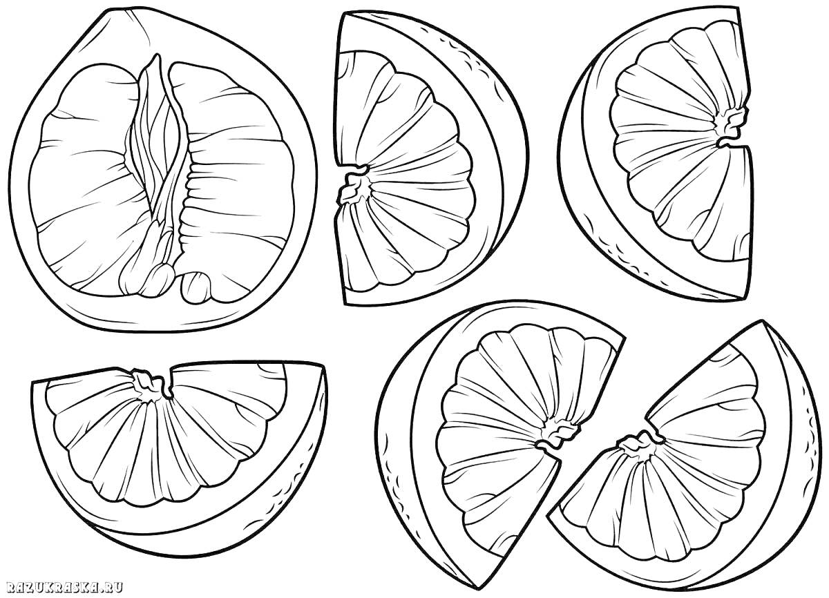 На раскраске изображено: Мандарины, Половинки, Фрукты, Цитрусовые