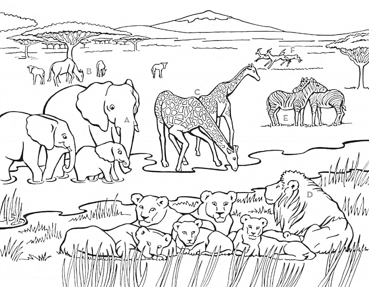 Раскраска Африканская саванна с животными: слоны, жирафы, зебры, львы и антилопы на фоне деревьев и гор