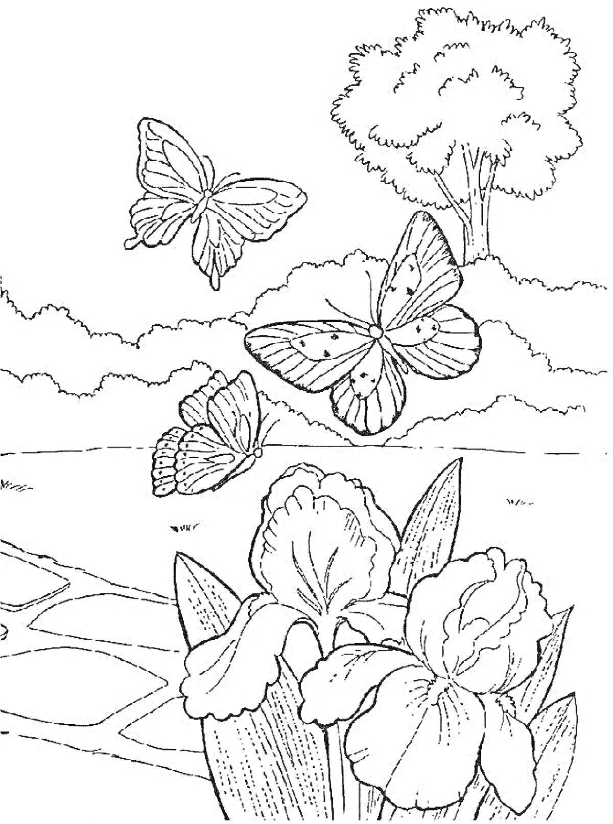 На раскраске изображено: Природа, Цветы, Ручей, Кусты, Для детей, Деревья, Бабочка